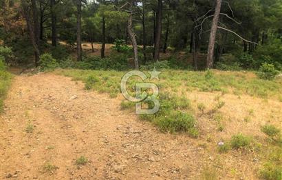 Çanakkale Bayramiç'te yatırımlık satılık tarla