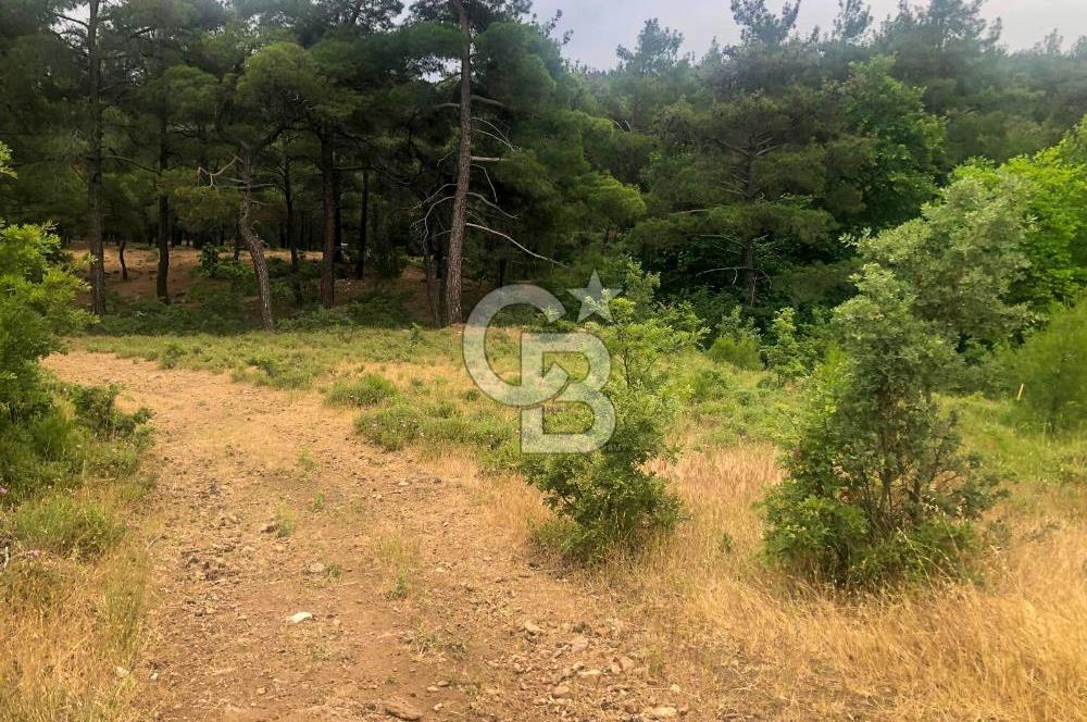 Çanakkale Bayramiç'te yatırımlık satılık tarla
