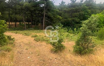 Çanakkale Bayramiç'te yatırımlık satılık tarla