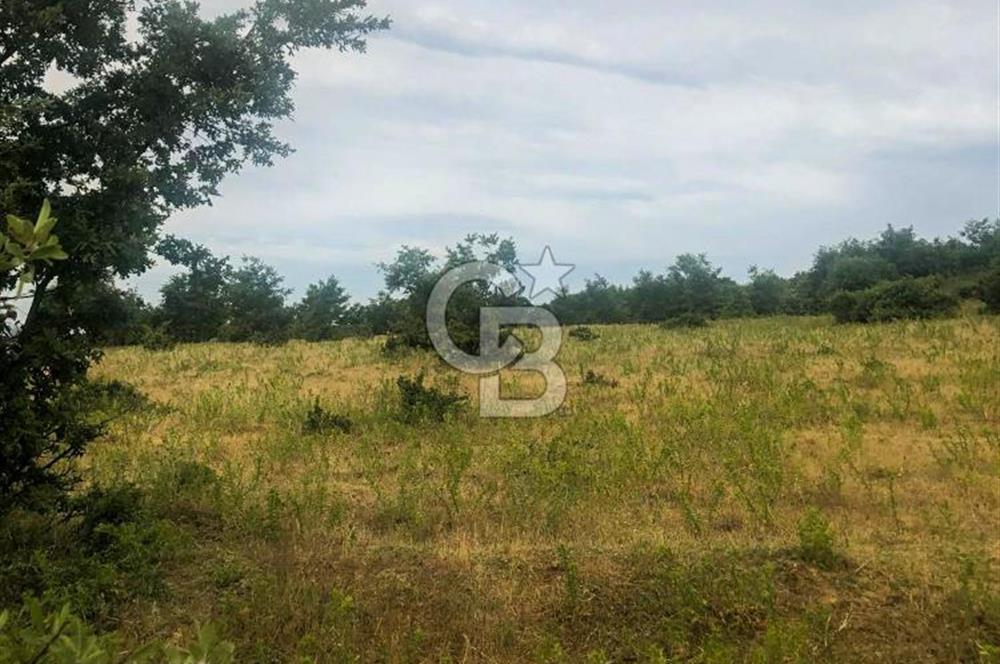 Çanakkale Bayramiç'te yatırımlık satılık tarla