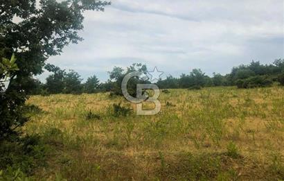 Çanakkale Bayramiç'te yatırımlık satılık tarla