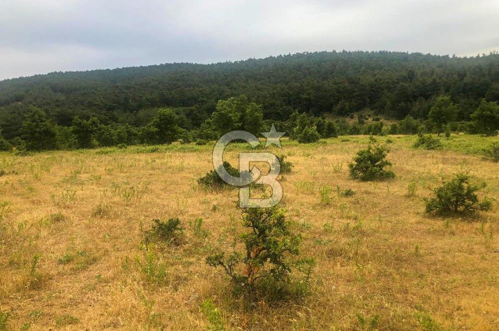 Çanakkale Bayramiç'te yatırımlık satılık tarla