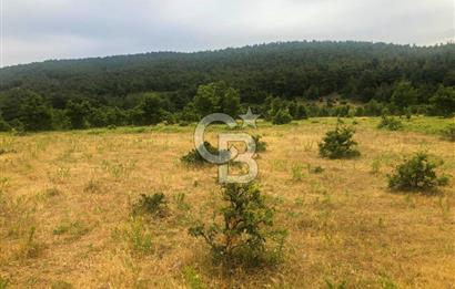 Çanakkale Bayramiç'te yatırımlık satılık tarla
