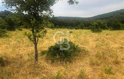 Çanakkale Bayramiç'te yatırımlık satılık tarla