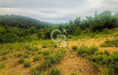 Çanakkale Bayramiç'te yatırımlık satılık tarla