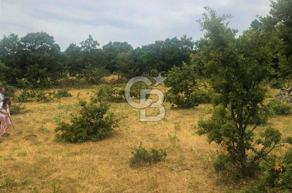 Çanakkale Bayramiç'te yatırımlık satılık tarla