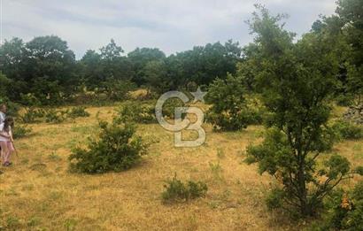 Çanakkale Bayramiç'te yatırımlık satılık tarla
