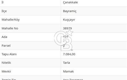 Çanakkale Bayramiç'te yatırımlık satılık tarla
