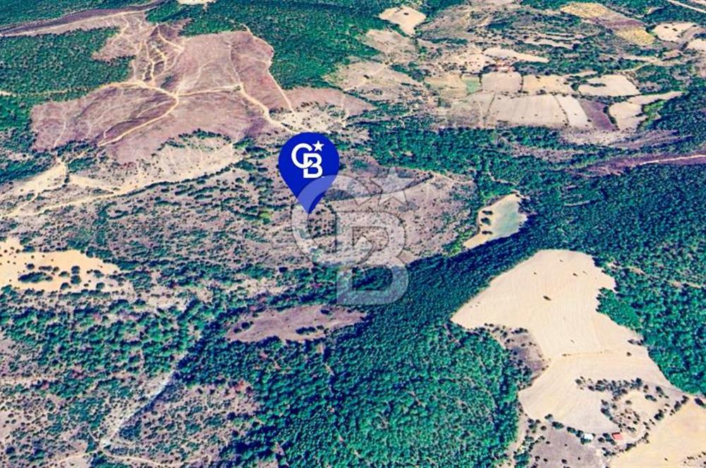 Çanakkale Bayramiç'te yatırımlık satılık tarla