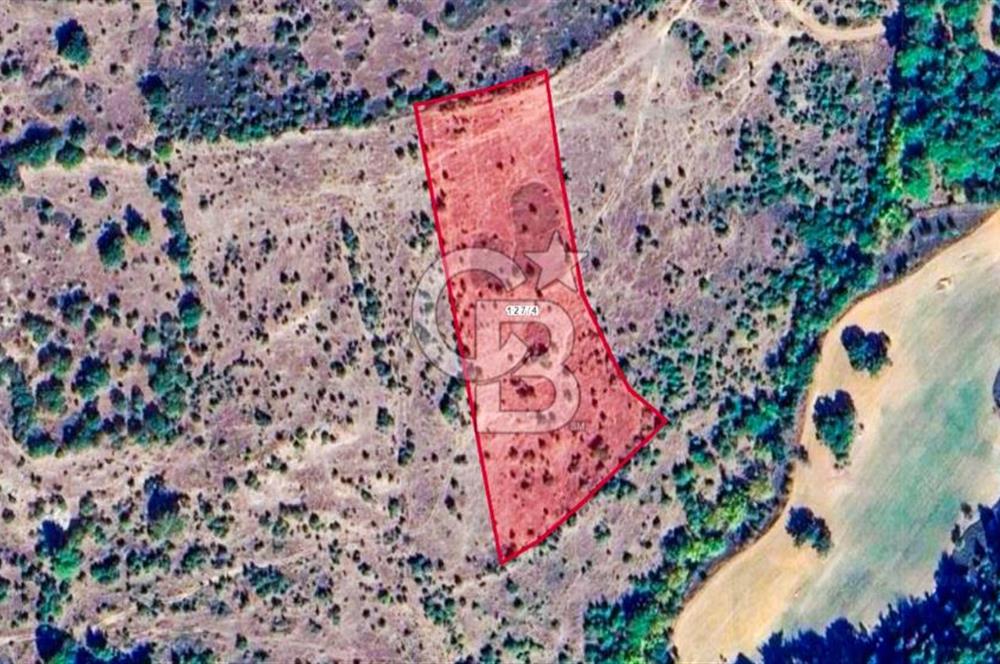 Çanakkale Bayramiç'te yatırımlık satılık tarla