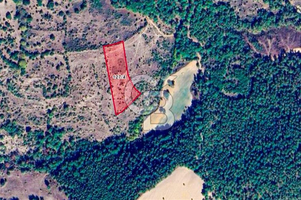 Çanakkale Bayramiç'te yatırımlık satılık tarla