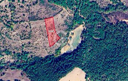 Çanakkale Bayramiç'te yatırımlık satılık tarla