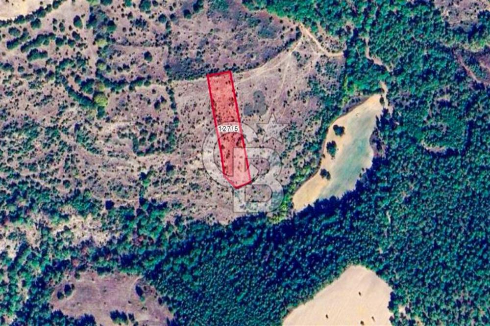 Çanakkale Bayramiç'te yatırımlık satılık tarla