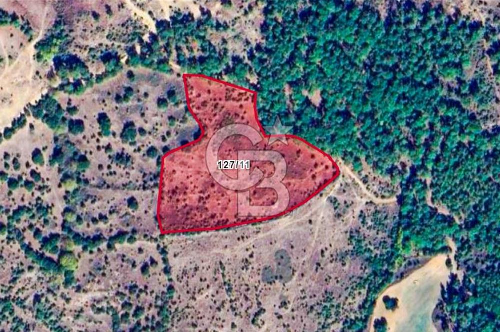 Çanakkale Bayramiç'te yatırımlık satılık tarla