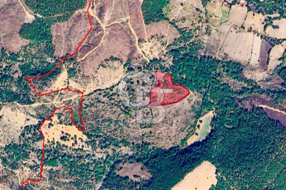 Çanakkale Bayramiç'te yatırımlık satılık tarla