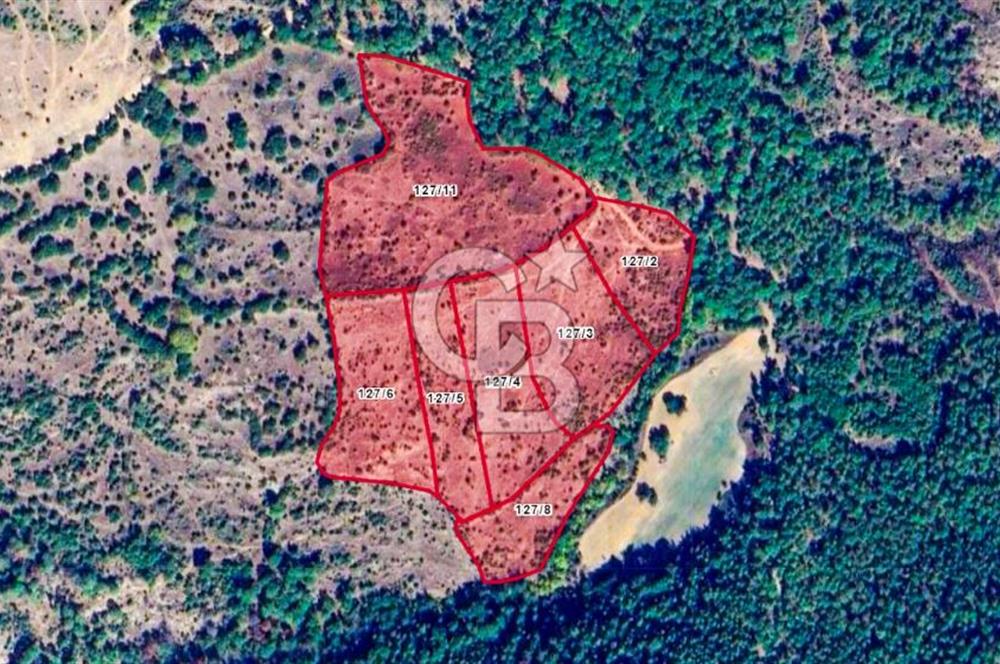 Çanakkale Bayramiç'te yatırımlık satılık tarla