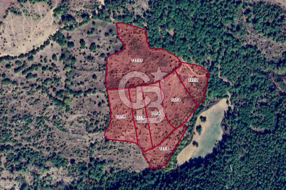 Çanakkale Bayramiç'te yatırımlık satılık tarla