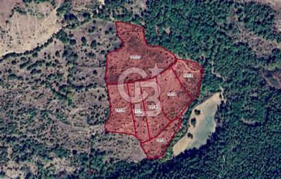 Çanakkale Bayramiç'te yatırımlık satılık tarla