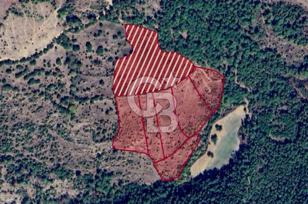 Çanakkale Bayramiç'te yatırımlık satılık tarla
