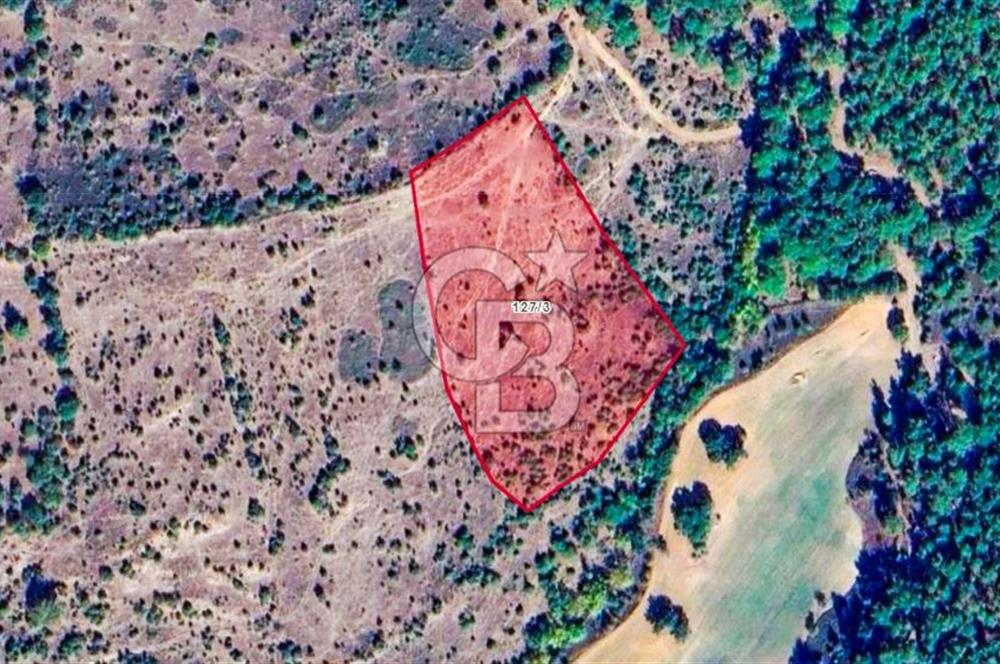 Çanakkale Bayramiç'te yatırımlık satılık tarla