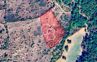 Çanakkale Bayramiç'te yatırımlık satılık tarla