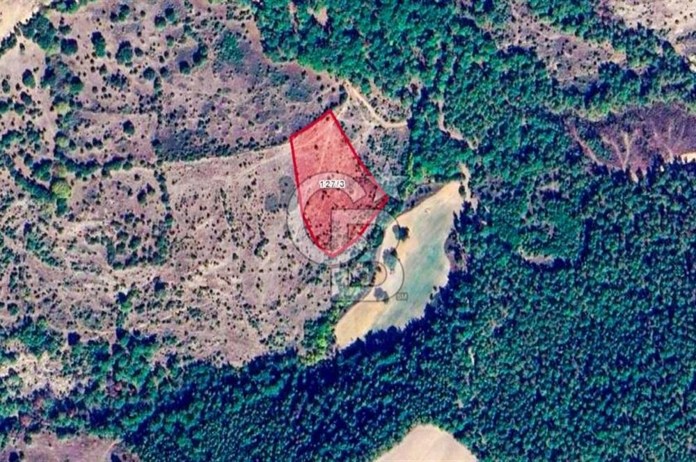 Çanakkale Bayramiç'te yatırımlık satılık tarla