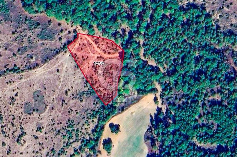 Çanakkale Bayramiç'te yatırımlık satılık tarla