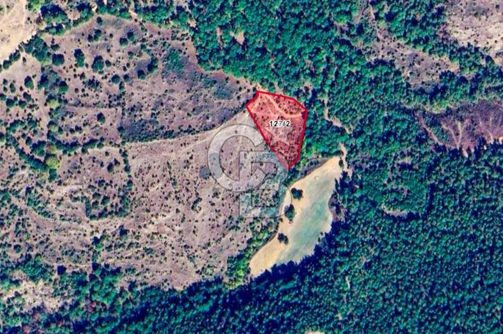 Çanakkale Bayramiç'te yatırımlık satılık tarla