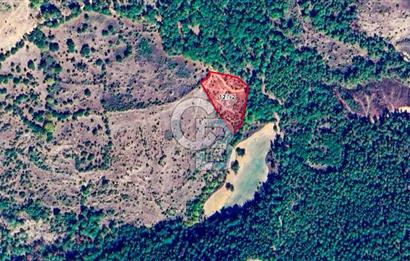 Çanakkale Bayramiç'te yatırımlık satılık tarla