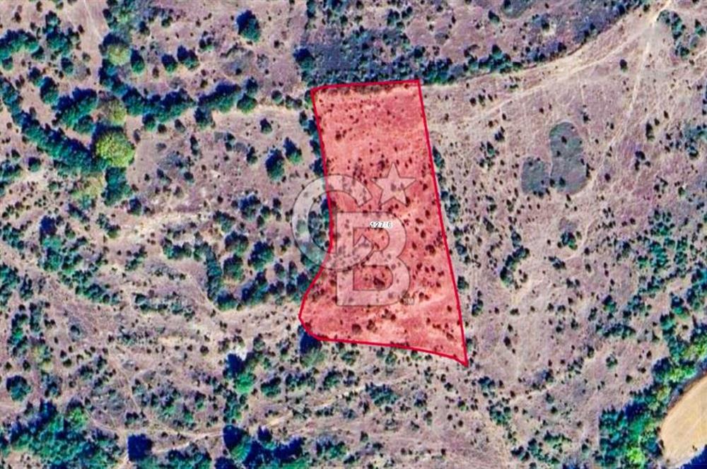 Çanakkale Bayramiç'te yatırımlık satılık tarla