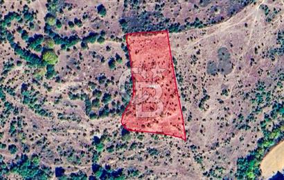 Çanakkale Bayramiç'te yatırımlık satılık tarla
