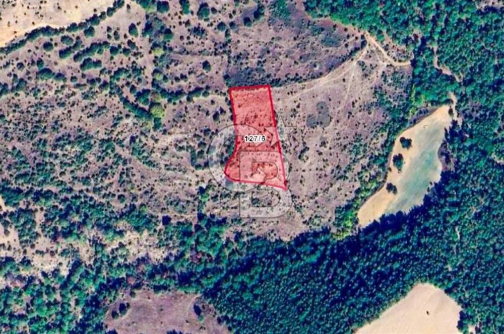 Çanakkale Bayramiç'te yatırımlık satılık tarla