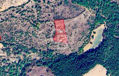 Çanakkale Bayramiç'te yatırımlık satılık tarla