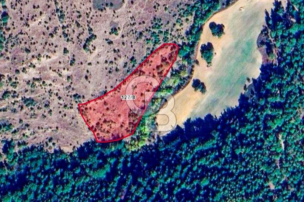 Çanakkale Bayramiç'te yatırımlık satılık tarla