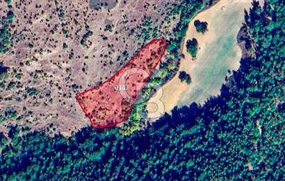 Çanakkale Bayramiç'te yatırımlık satılık tarla