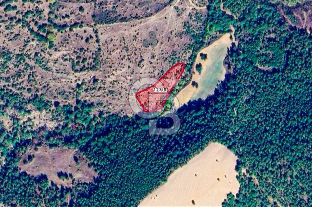 Çanakkale Bayramiç'te yatırımlık satılık tarla