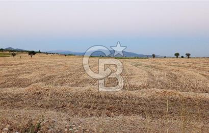 KONYA SEYDİŞEHİR KAVAK'TA SATILIK TARLA
