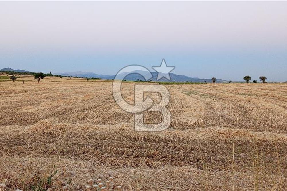 KONYA SEYDİŞEHİR KAVAK'TA SATILIK TARLA