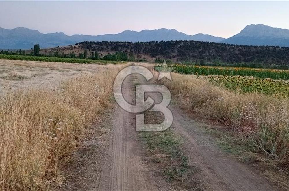 KONYA SEYDİŞEHİR KAVAK'TA SATILIK TARLA