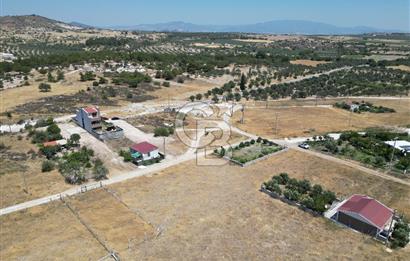 DİKİLİ ÇANDARLI’DA ANAYOLA KOMŞU SATILIK YATIRIMLIK ARSA