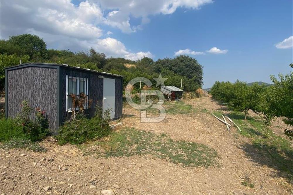 BURSA İZNİK KARATEKİN KÖYÜ'NDE MÜSTAKİL TEK TAPULU SATILIK TARLA