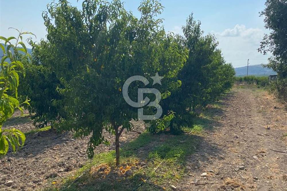 BURSA İZNİK KARATEKİN KÖYÜ'NDE MÜSTAKİL TEK TAPULU SATILIK TARLA