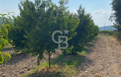BURSA İZNİK KARATEKİN KÖYÜ'NDE MÜSTAKİL TEK TAPULU SATILIK TARLA