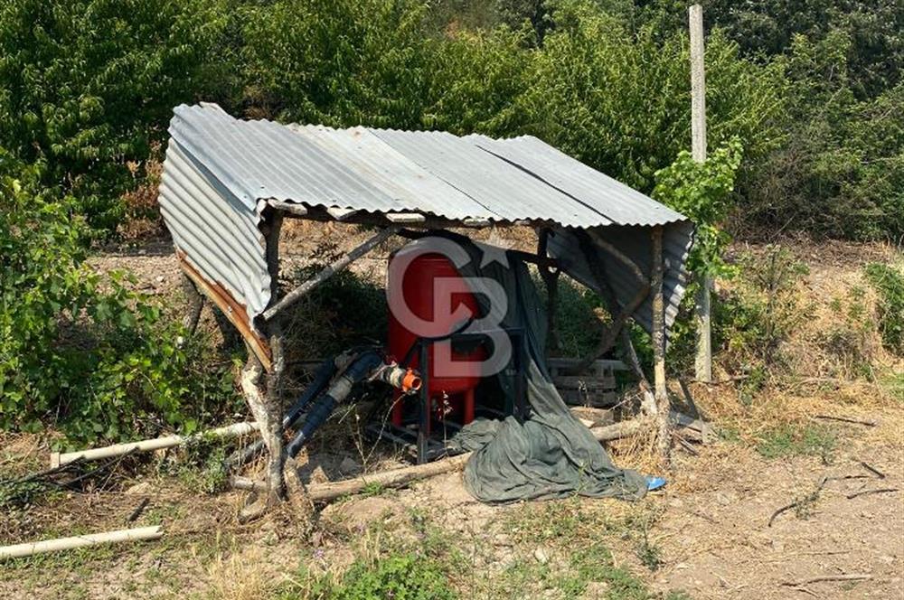 BURSA İZNİK KARATEKİN KÖYÜ'NDE MÜSTAKİL TEK TAPULU SATILIK TARLA