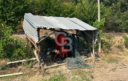 BURSA İZNİK KARATEKİN KÖYÜ'NDE MÜSTAKİL TEK TAPULU SATILIK TARLA