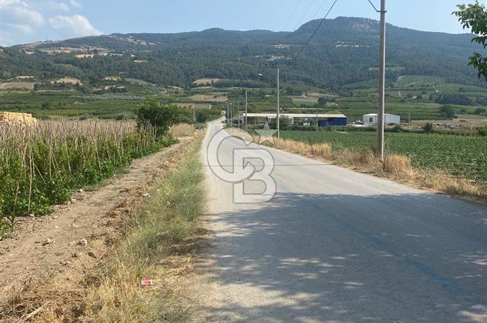 BURSA İZNİK KARATEKİN KÖYÜ'NDE MÜSTAKİL TEK TAPULU SATILIK TARLA