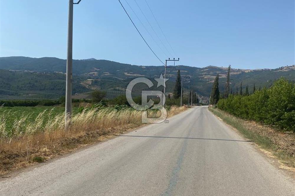 BURSA İZNİK KARATEKİN KÖYÜ'NDE MÜSTAKİL TEK TAPULU SATILIK TARLA