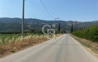 BURSA İZNİK KARATEKİN KÖYÜ'NDE MÜSTAKİL TEK TAPULU SATILIK TARLA