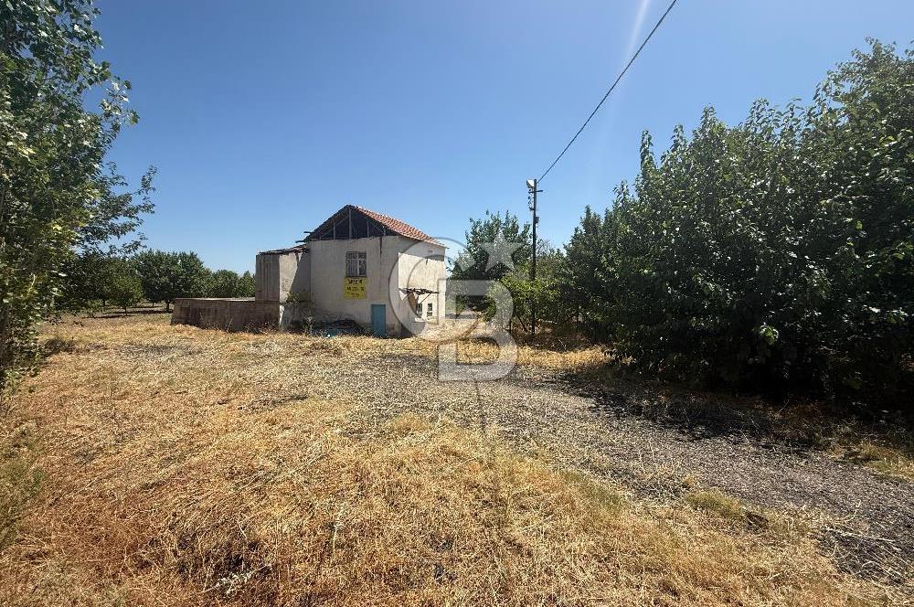 COLDWELL BANKER SAFİR'den BORAN da 14.251 m² SATILIK TARLA