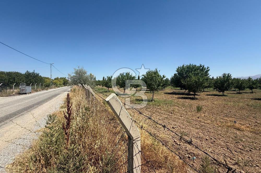 COLDWELL BANKER SAFİR'den BORAN da 14.251 m² SATILIK TARLA
